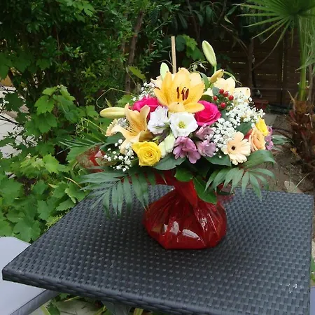 Bed & Breakfast Le Soleil Bleu 3*