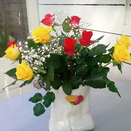 Bed & Breakfast Le Soleil Bleu