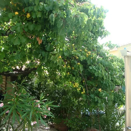 Le Soleil Bleu Bed & Breakfast