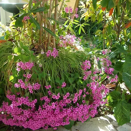 Bed & Breakfast Le Soleil Bleu