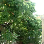 Le Soleil Bleu Bed & Breakfast