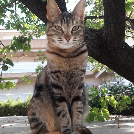 Bed and breakfast Le Soleil Bleu 3*