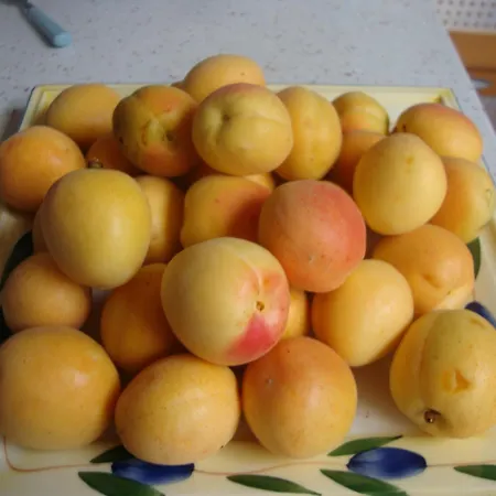 Le Soleil Bleu Nocleg ze śniadaniem